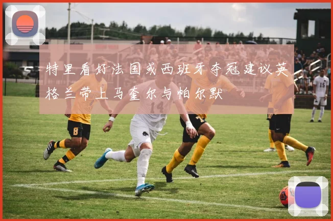 特里看好法国或西班牙夺冠建议英格兰带上马奎尔与帕尔默