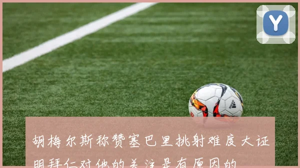胡梅尔斯称赞塞巴里挑射难度大证明拜仁对他的关注是有原因的