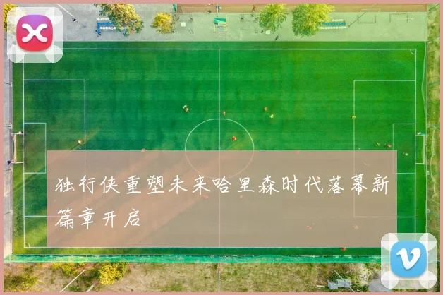 独行侠重塑未来哈里森时代落幕新篇章开启
