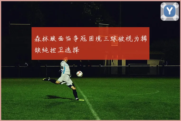森林狼面临争冠困境三球被视为稀缺纯控卫选择